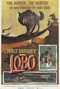 دانلود فیلم The Legend of Lobo 1962111441-61934986