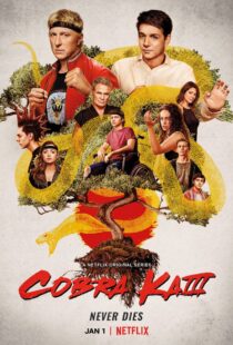 دانلود سریال Cobra Kai78550-1050278763