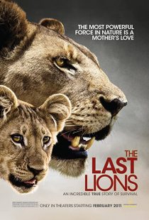 دانلود مستند The Last Lions 2011195626-973298734