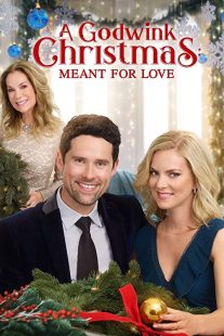 دانلود فیلم A Godwink Christmas: Meant for Love 201931842-85706842