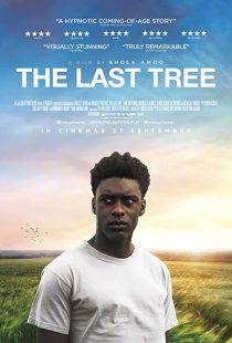دانلود فیلم The Last Tree 201931686-1281071833