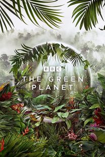 دانلود مستند The Green Planet232029-968041372