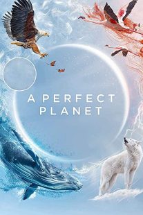 دانلود مستند A Perfect Planet231098-1312675165