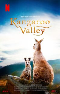 دانلود فیلم Kangaroo Valley 2022322977-2146064905