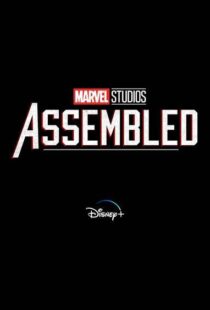 دانلود سریال Marvel Studios: Assembled100150-781936043