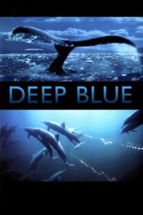 دانلود فیلم Deep Blue 2003333037-760647792