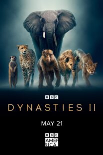 دانلود سریال Dynasties370061-1998466928