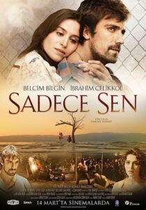 دانلود فیلم Only You 2014369345-168819348