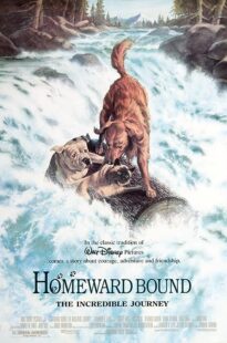 دانلود فیلم Homeward Bound: The Incredible Journey 1993371118-878597024