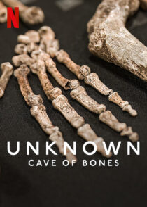 دانلود فیلم Unknown: Cave of Bones 2023370879-769200688