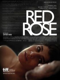 دانلود فیلم Red Rose 2014373098-1576639314
