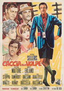 دانلود فیلم After the Fox 1966376229-1674193673