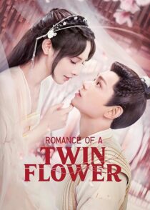 دانلود سریال Romance of a Twin Flower379211-1794937857