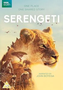 دانلود سریال Serengeti378761-282943657
