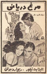 دانلود فیلم The Sandpiper 1965381611-2123470872
