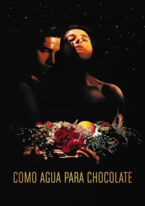 دانلود فیلم Like Water for Chocolate 1992387861-1826235822