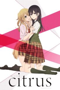 دانلود انیمه Citrus380558-2086137063
