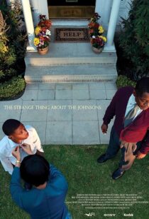 دانلود فیلم The Strange Thing About the Johnsons 2011380976-970101011