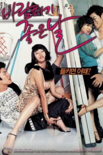 دانلود فیلم کره‌ای A Good Day to Have an Affair 2007384531-12370335