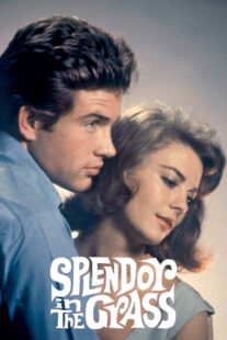 دانلود فیلم Splendor in the Grass 1961382554-960735150