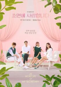 دانلود سریال کره‌ای The Secret Life of My Secretary384929-1541551163