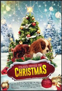 دانلود فیلم Project: Puppies for Christmas 2019390454-1944302907