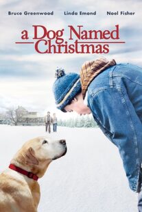 دانلود فیلم A Dog Named Christmas 2009389298-1921550944