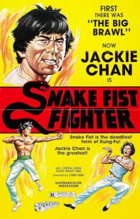 دانلود فیلم Snake Fist Fighter 1973388650-1755343902