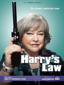 دانلود سریال Harry’s Law393952-699693759