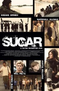 دانلود فیلم Sugar 2013395312-1762364532