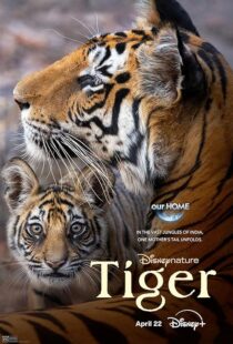 دانلود مستند Tiger 2024396409-1225084729