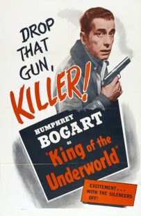 دانلود فیلم King of the Underworld 1939399475-85250895