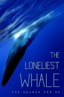دانلود فیلم The Loneliest Whale: The Search for 52 2021403098-1476667653