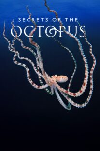 دانلود سریال Secrets of the Octopus401286-1392069514