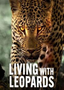 دانلود مستند Living with Leopards 2024400477-1635842882