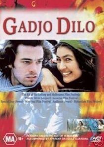 دانلود فیلم The Crazy Stranger 1997407241-1129071290