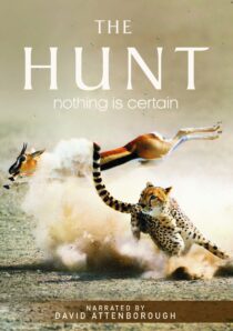 دانلود سریال The Hunt407007-1708250325
