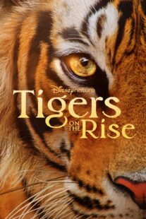 دانلود مستند Tigers on the Rise 2024407068-165999423