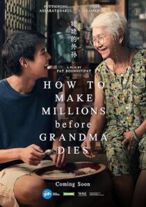 دانلود فیلم How to Make Millions Before Grandma Dies 2024409793-116975907