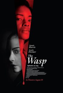 دانلود فیلم The Wasp 2024411027-232098960