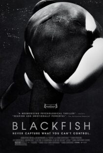 دانلود فیلم Blackfish 2013412328-1451449191