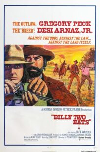 دانلود فیلم Billy Two Hats 1974411057-10782406