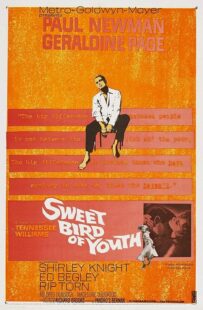 دانلود فیلم Sweet Bird of Youth 1962415738-970050927