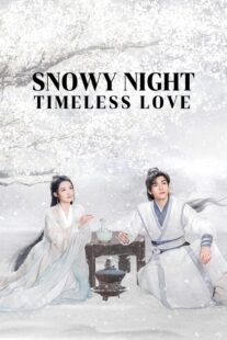 دانلود سریال Snowy Night Timeless Love417168-1965198334