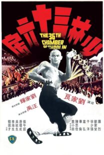 دانلود فیلم The 36th Chamber of Shaolin 1978418237-413877991