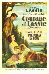 دانلود فیلم Courage of Lassie 1946417427-1462718256
