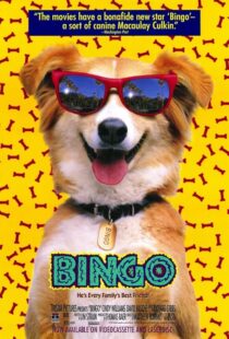 دانلود فیلم Bingo 1991417459-893230815