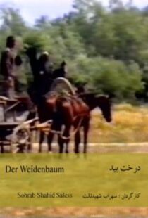 دانلود فیلم The Willow Tree 1984418953-1951987133