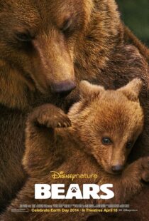دانلود مستند Bears 2014419641-1841785372
