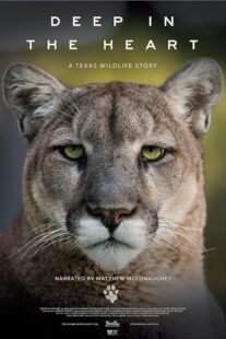 دانلود مستند Deep in the Heart: A Texas Wildlife Story 2022421545-86103942